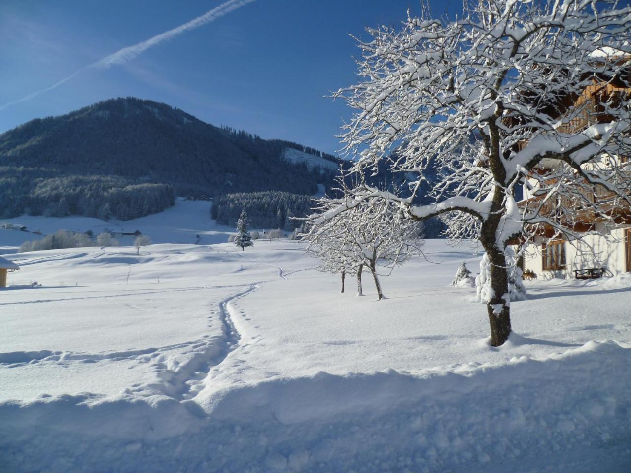 Ferienwohnungen Hollweger Inkl. Chiemgaukarte Ruhpolding Zewnętrze zdjęcie